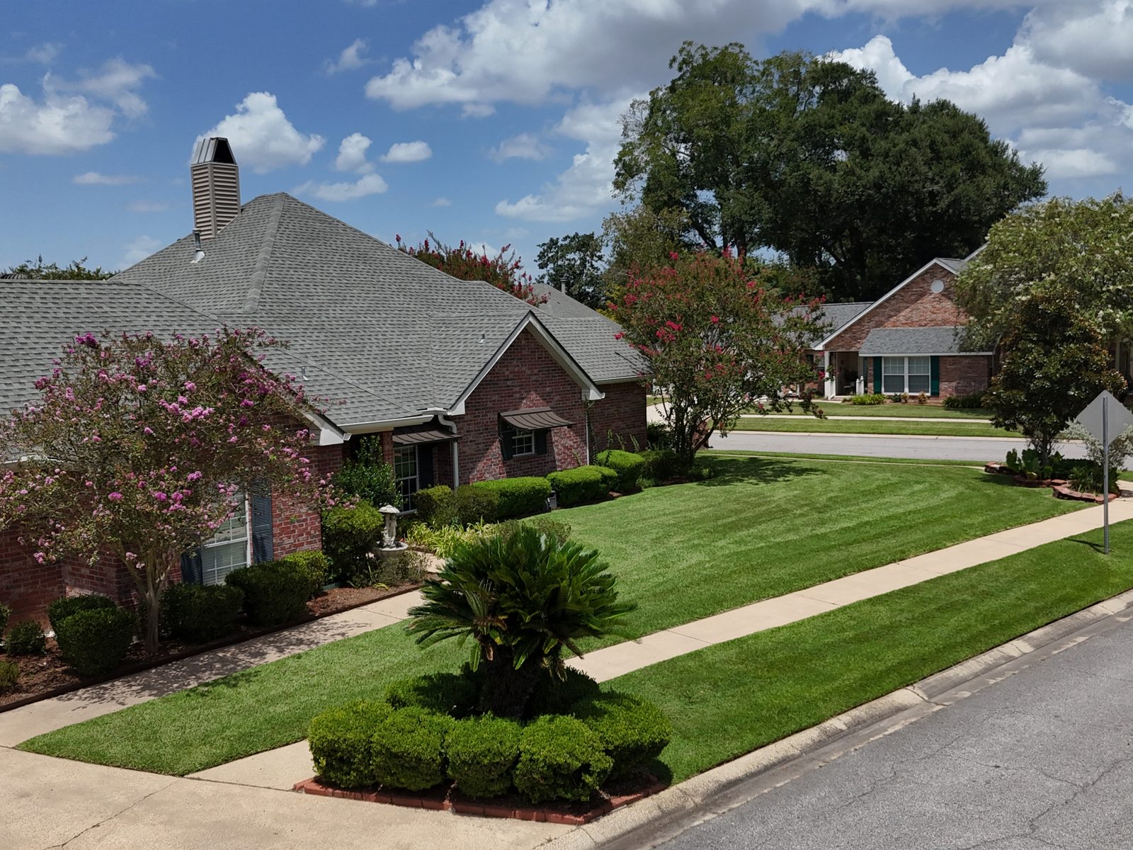 Corner-lot residential lawn with crisp edging, striped grass, and flowering crepe myrtles