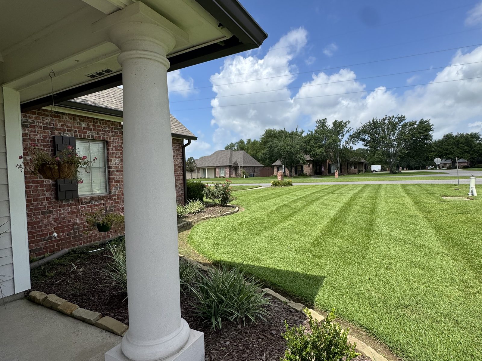 Residential front lawn with deep mowing stripes and clean bed edging